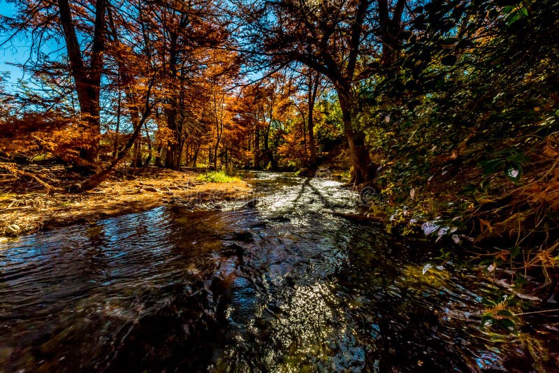 Folhagem de outono bonita em Guadalupe River, Texas imagem de stock Folhagem de outono bonita em Guadalupe River, Texas imagem de stock