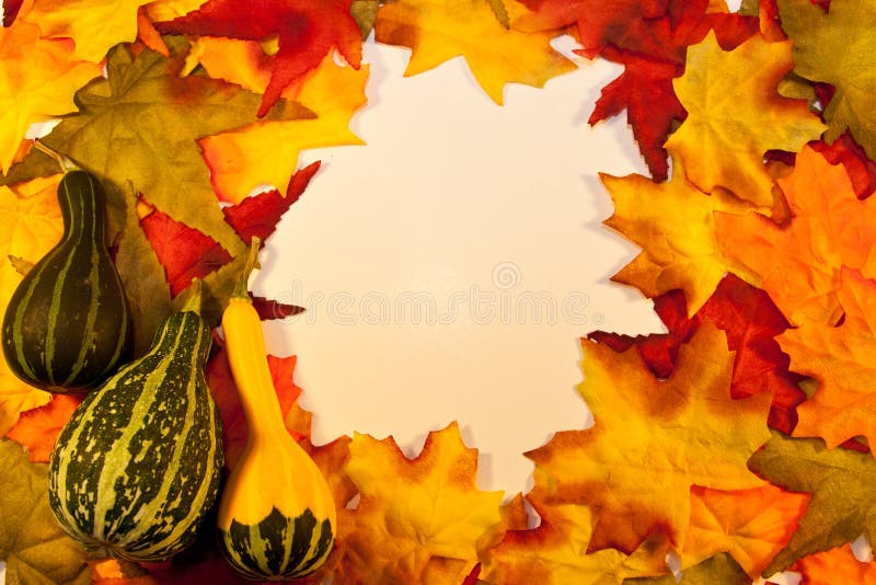 Fall leaves with gourds and a copy space for text. Fall leaves with gourds and a copy space for text