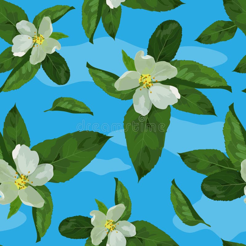 Folhas de apple-01 ilustração stock Folhas de apple-01 ilustração stock