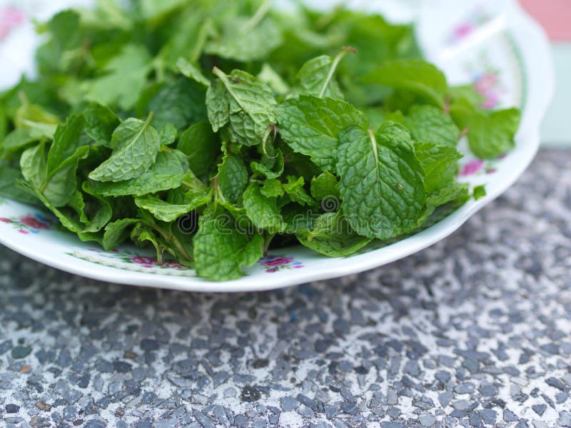 Folhas de hortelã, a receita principal para o alimento tailandês-Esan da exploração agrícola do campo com luz natural na manhã Ta imagens de stock Folhas de hortelã, a receita principal para o alimento tailandês-Esan da exploração agrícola do campo com luz natural na manhã Ta imagens de stock
