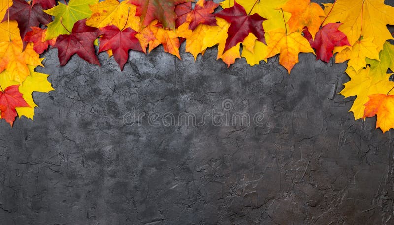 Folhas de outono coloridas em um fundo estrutural preto foto de stock Folhas de outono coloridas em um fundo estrutural preto foto de stock