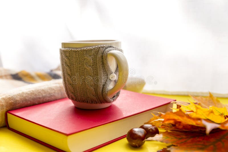 Autumn leaves, book, chestnut, scarf and cup of hot chocolate. Fall season, leisure time and coffee break concept. Autumn leaves, book, chestnut, scarf and cup of hot chocolate. Fall season, leisure time and coffee break concept.