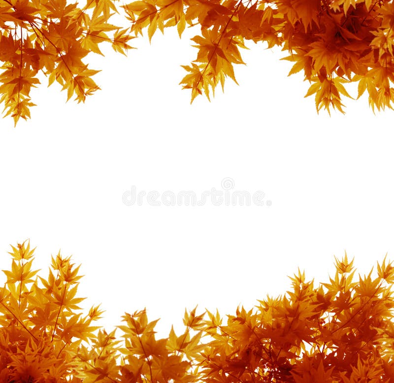 Folhas de outono no branco fotos de stock royalty free Folhas de outono no branco fotos de stock royalty free