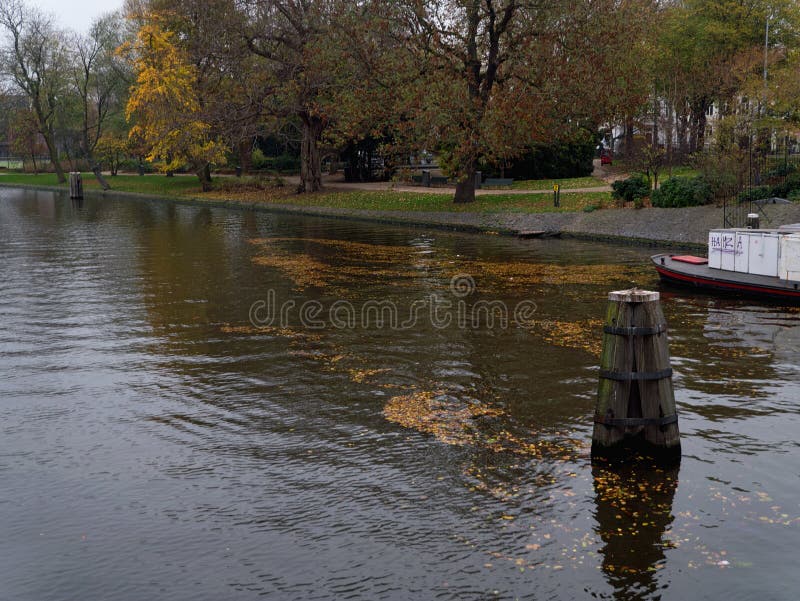 Folhas de outono que derivam na canal-água perto do parque, cidade de Amsterdão imagem de stock royalty free Folhas de outono que derivam na canal-água perto do parque, cidade de Amsterdão imagem de stock royalty free