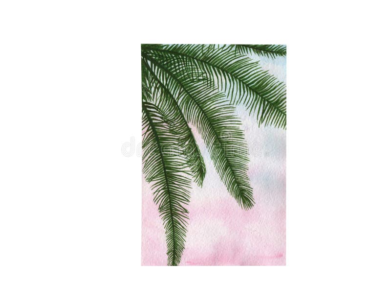 Folhas de palmeira da aquarela ilustração royalty free Folhas de palmeira da aquarela ilustração royalty free
