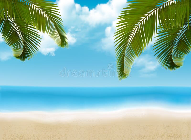 Folhas de palmeira na praia ilustração stock