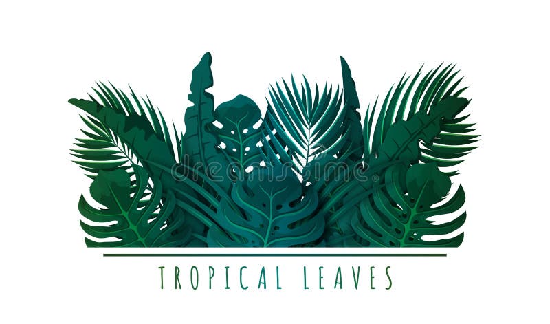 Folhas de palmeira tropicais Folhas e plantas ex?ticas Fundo floral para o projeto da bandeira, do inseto ou do convite ilustração do vetor Folhas de palmeira tropicais Folhas e plantas ex?ticas Fundo floral para o projeto da bandeira, do inseto ou do convite ilustração do vetor