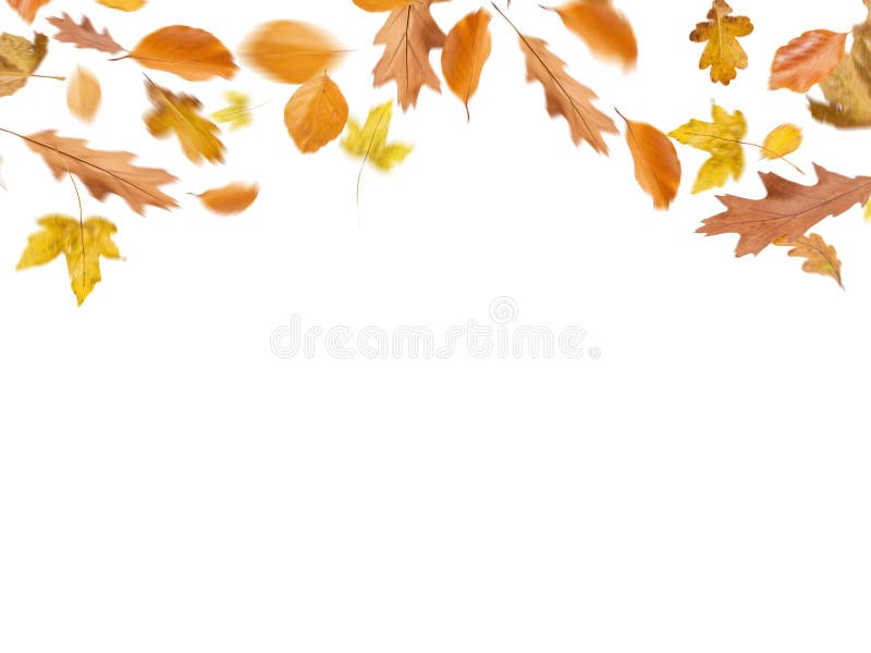 Folhas diferentes do outono soprando pelo céu, planos de fundo de conceito do outono, espaço para texto, espaço para cópia, onlin