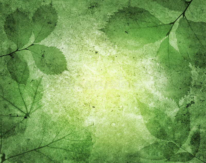 Folhas do verde foto de stock Folhas do verde foto de stock