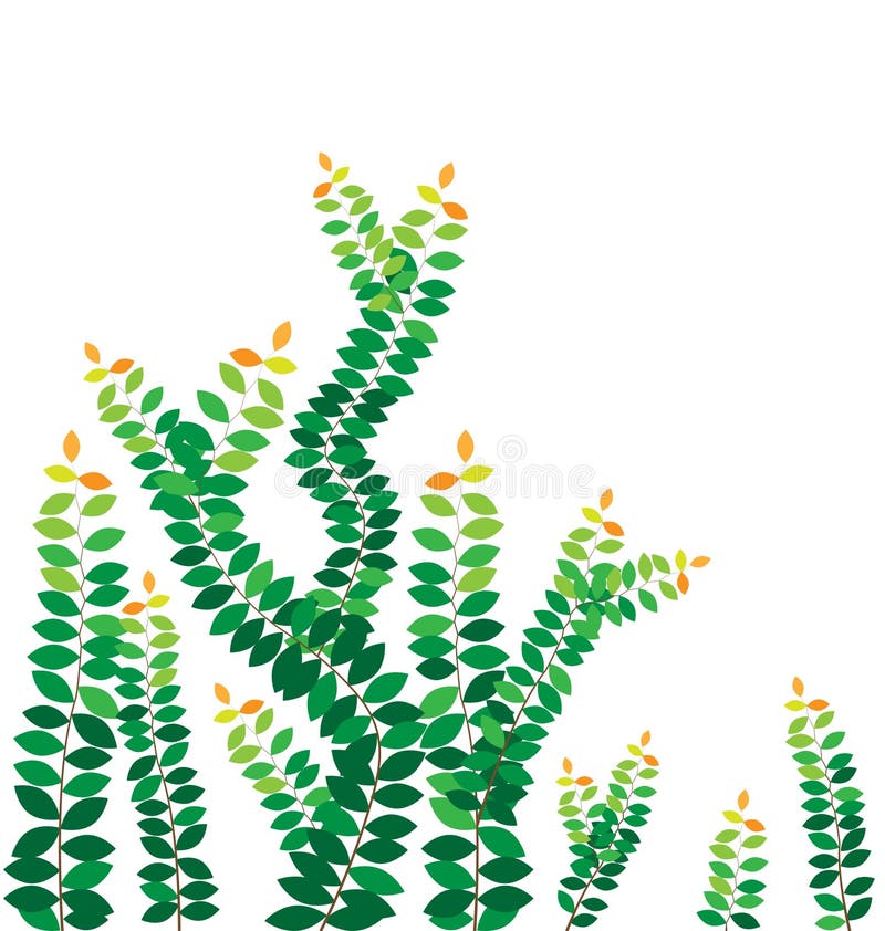 Folhas do verde na parede ilustração royalty free Folhas do verde na parede ilustração royalty free