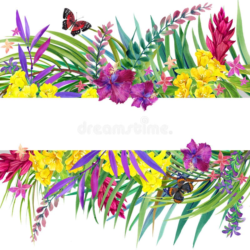 Folhas, flores e borboleta tropicais ilustração royalty free Folhas, flores e borboleta tropicais ilustração royalty free