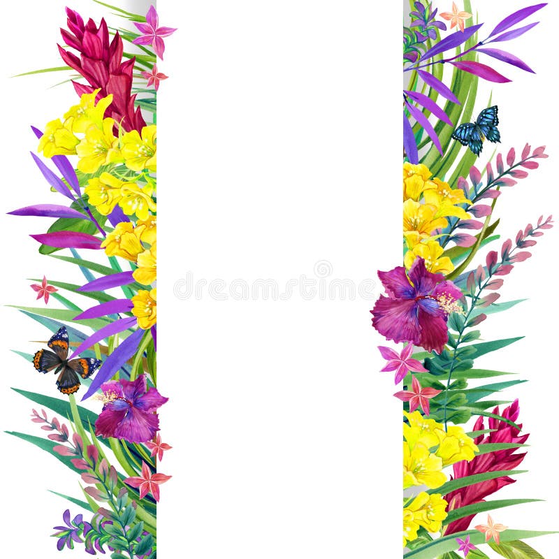 Folhas, flores e borboleta tropicais ilustração royalty free Folhas, flores e borboleta tropicais ilustração royalty free