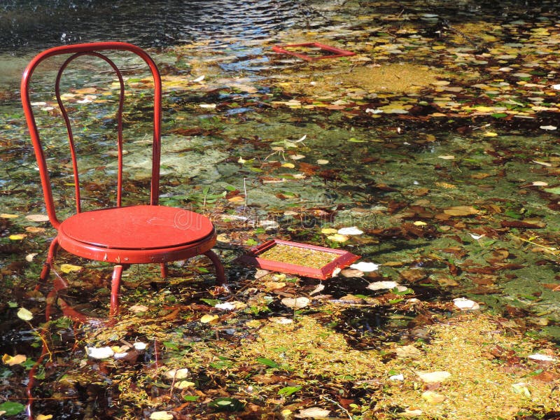 September 2015, Lyon Heritage Day, red chair with dead leaves and red frames. September 2015, Lyon Heritage Day, red chair with dead leaves and red frames