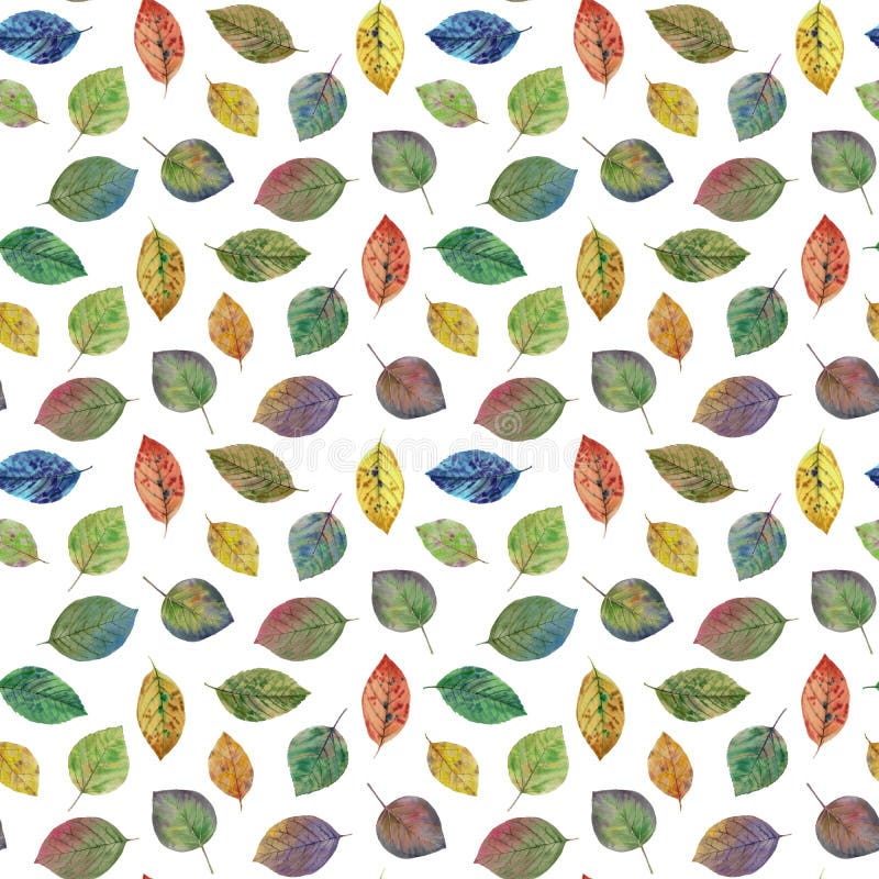 Folhas legantes para design Folhas coloridas do outono Padrão de folhas sem costura ilustração stock Folhas legantes para design Folhas coloridas do outono Padrão de folhas sem costura ilustração stock