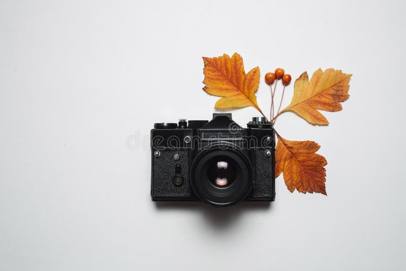 Folhas retros da queda da câmera e do outono do vintage Criticar severamente a configuração, vista superior Natureza, fotografia imagens de stock Folhas retros da queda da câmera e do outono do vintage Criticar severamente a configuração, vista superior Natureza, fotografia imagens de stock