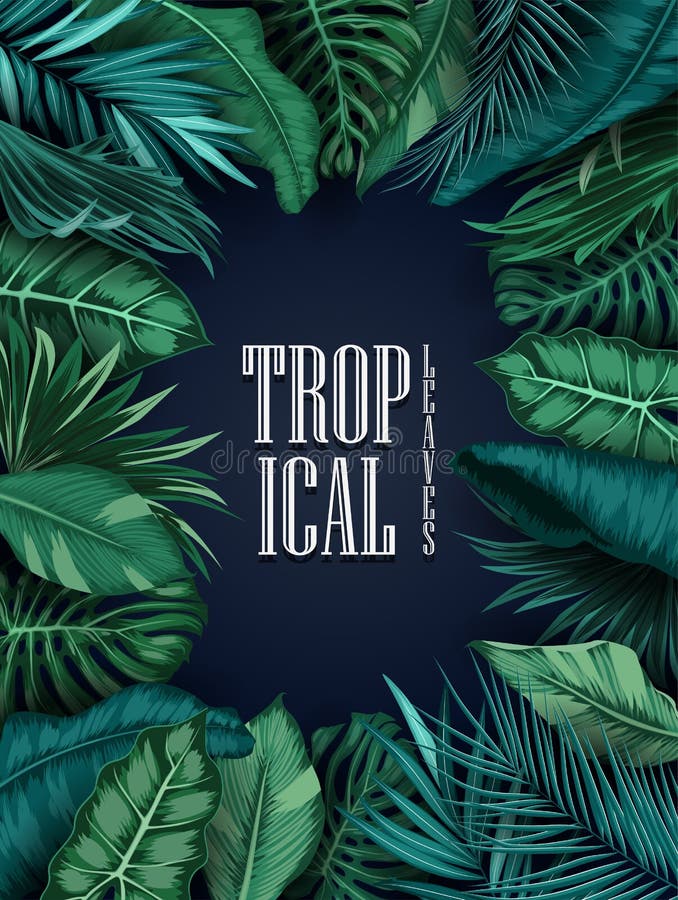 Folhas tropicais isoladas no fundo azul ilustração royalty free Folhas tropicais isoladas no fundo azul ilustração royalty free
