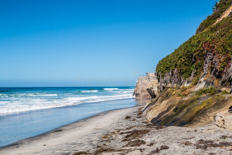 Cliff with foliage at Beacon`s Beach in Encinitas, California. Cliff with foliage at Beacon`s Beach in Encinitas, California.