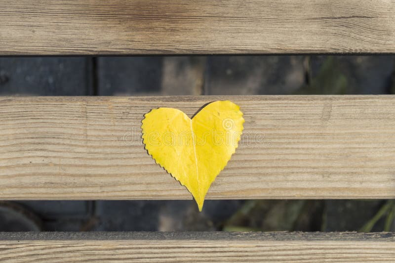 foliage heart isolated red στοκ φωτογραφία foliage heart isolated red στοκ φωτογραφία