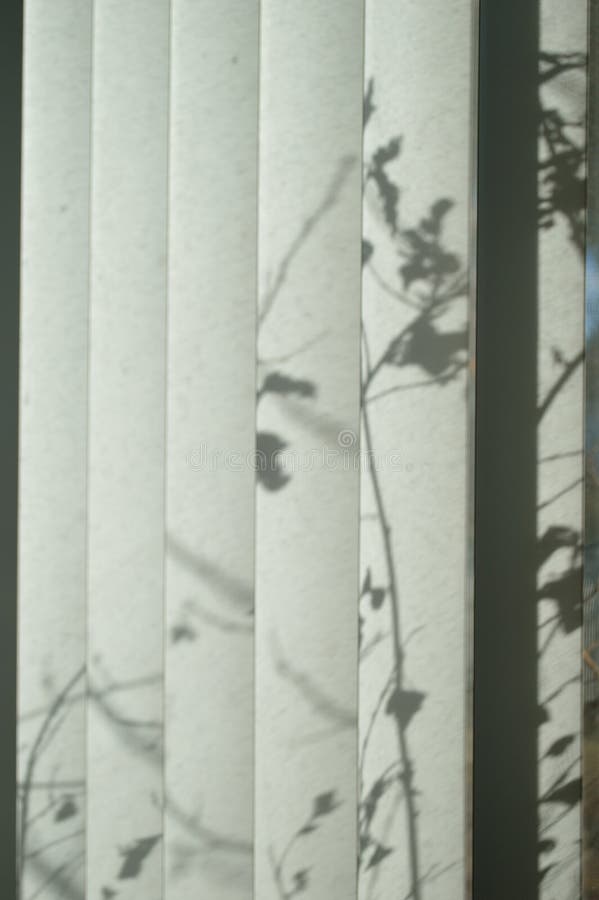 Foliage leaves and stems shadows on blinds narrow view