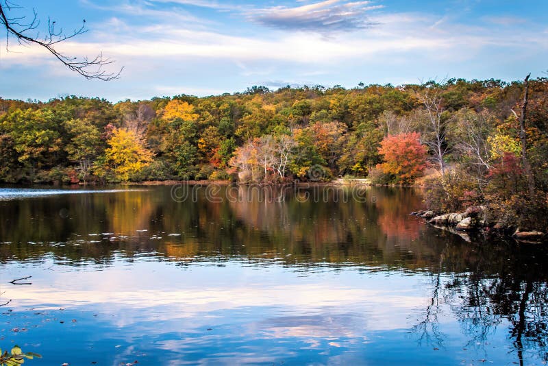 Foliage in New Jersey royalty free stock photography Foliage in New Jersey royalty free stock photography