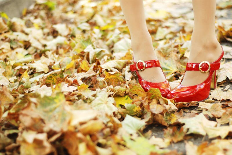 Foliage and red shoes