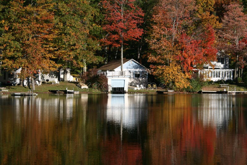 Foliage Reflections