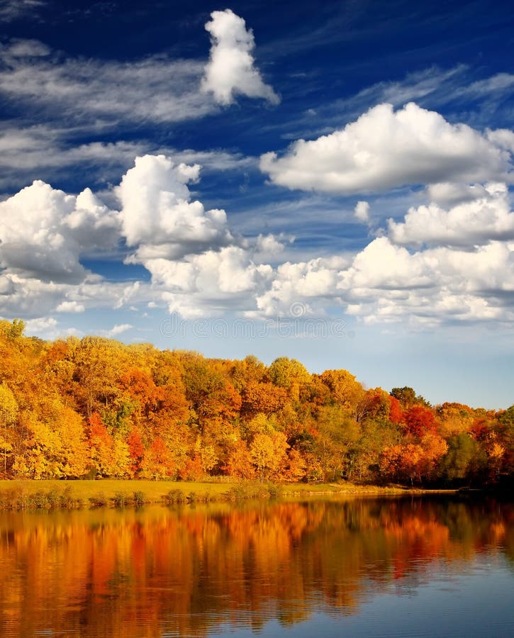 The foliage scenery