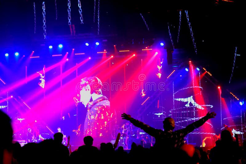 Folk som dansar med etappljus i konsert royaltyfria bilder Folk som dansar med etappljus i konsert royaltyfria bilder