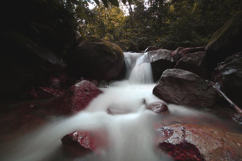 Follow the stream stock image. Image of surrounding - 104613483