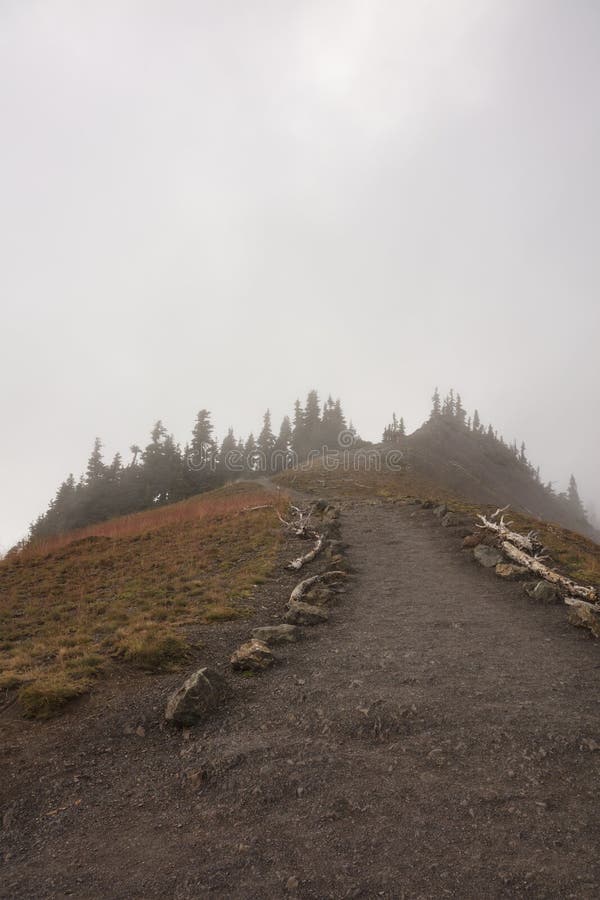 Follow the trail through cloudy mountain range. Trail along cloudy mountain range at Olympic National Park USA stock photography Follow the trail through cloudy mountain range. Trail along cloudy mountain range at Olympic National Park USA stock photography