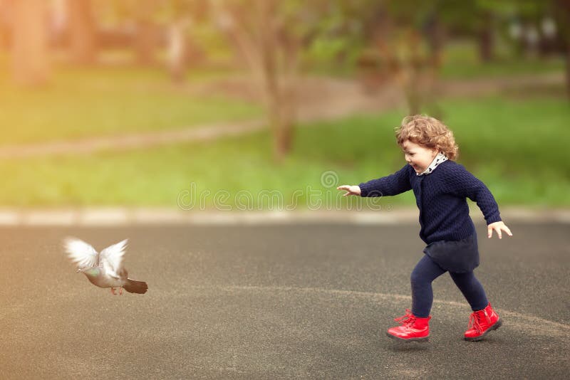 Fonctionnement de petite fille, étalages les pigeons, enfance photo stock Fonctionnement de petite fille, étalages les pigeons, enfance photo stock