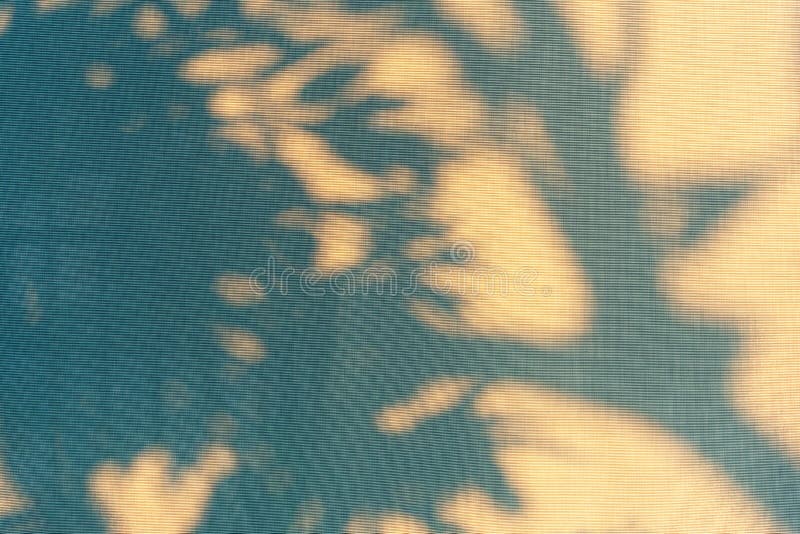 Abstract shadow background of natural leaves tree branch falling on window curtain texture. Abstract shadow background of natural leaves tree branch falling on window curtain texture