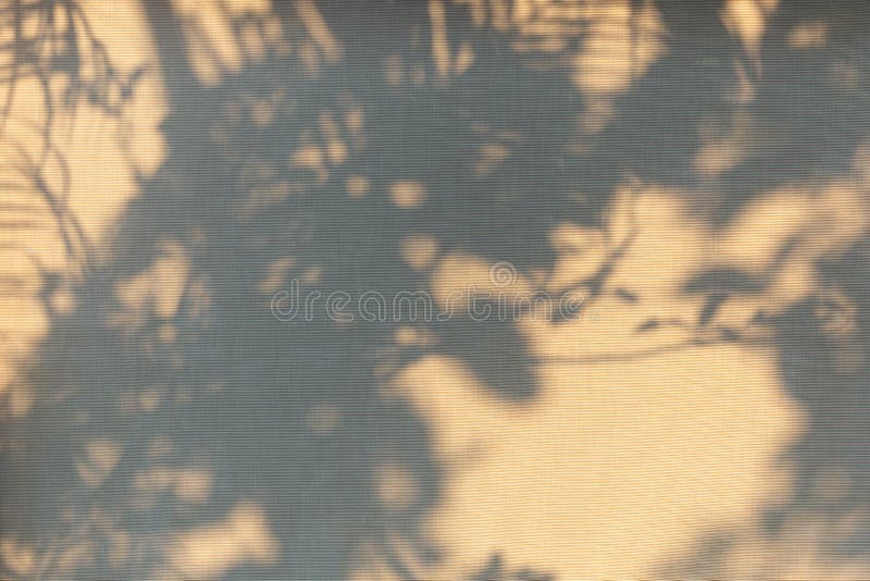 Abstract shadow background of natural leaves tree branch falling on window curtain texture. Abstract shadow background of natural leaves tree branch falling on window curtain texture