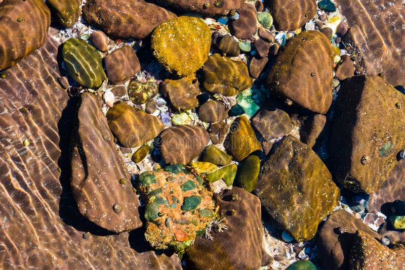 Fond abstrait de nature avec les roches colorées en sable de l'eau photos libres de droits Fond abstrait de nature avec les roches colorées en sable de l'eau photos libres de droits
