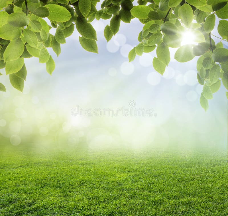 Fond abstrait de source photos libres de droits Fond abstrait de source photos libres de droits