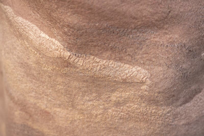 Fond beige senti d'élément décoratif, conception photographie stock Fond beige senti d'élément décoratif, conception photographie stock