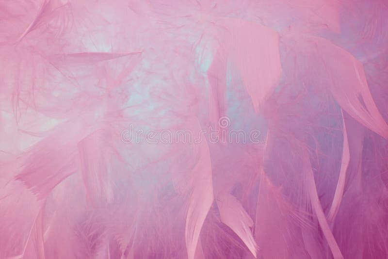 Fond cu pene albastru abstracte. design de modă cu pene pufoase, cu textură de pastel boem de tip boem stock photos