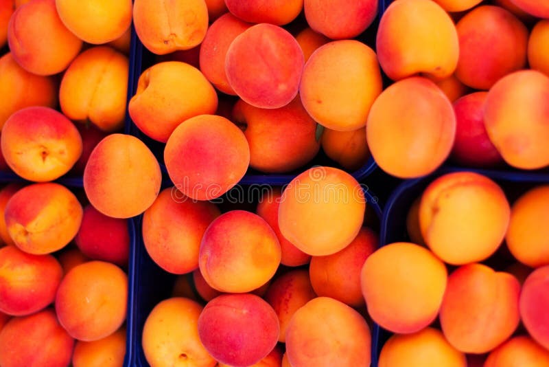 Fond d'abricot - fruits organiques frais de cerise Compos de vue