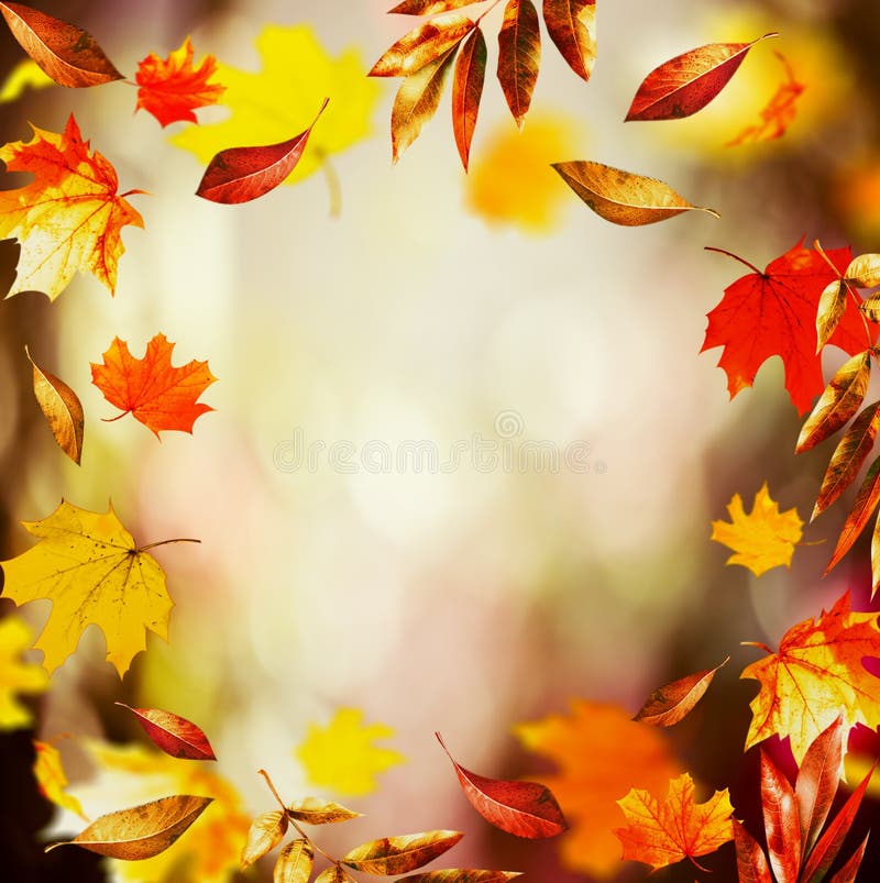 Fond d'automne avec de belles feuilles en baisse et bokeh, nature de chute dans le jardin photo stock