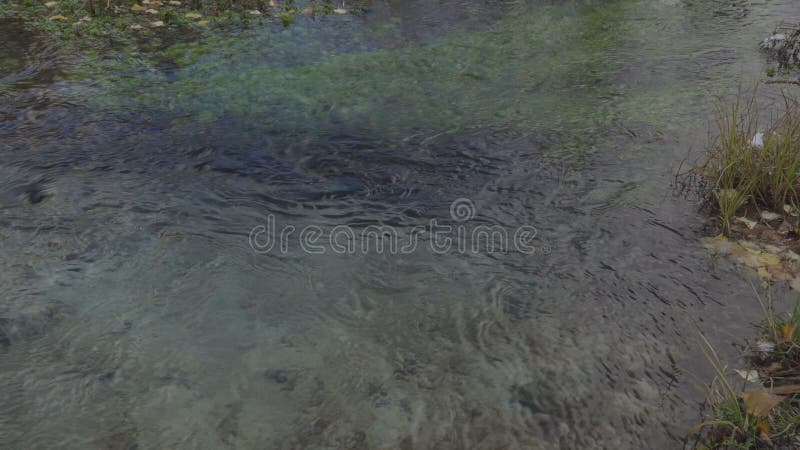 Fond d'eau propre de ruisseau de l'eau clips vidéos
