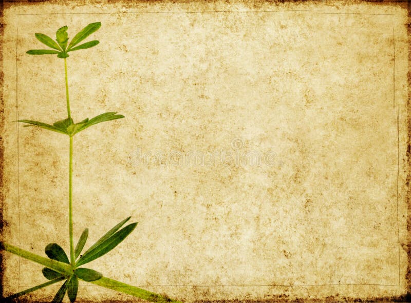 Image de fond avec texture terreuse illustration de vecteur