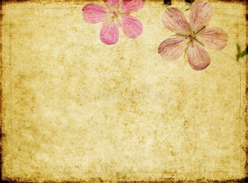 Image de fond avec des éléments floraux illustration de vecteur