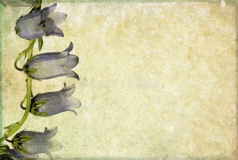 Image de fond avec des éléments floraux illustration de vecteur