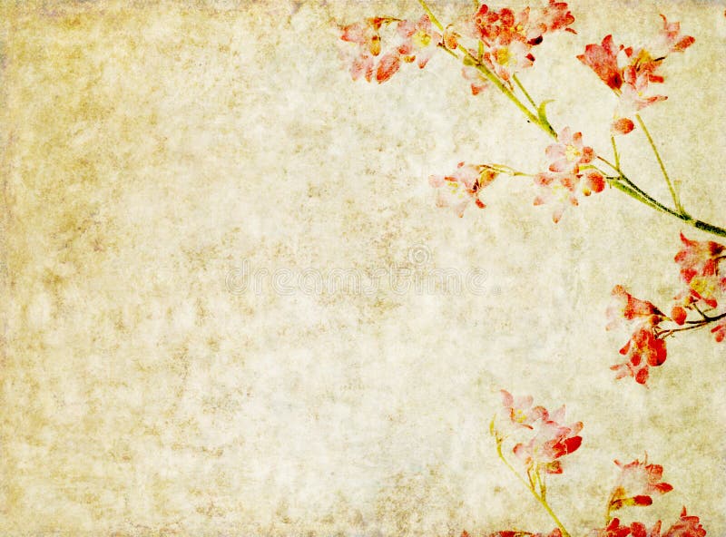 Image de fond avec des éléments floraux illustration stock