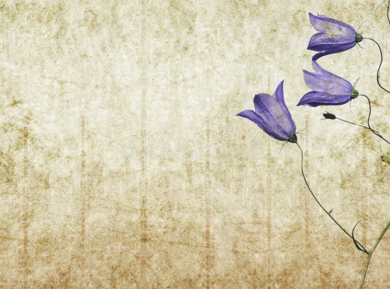 Image de fond terreuse illustration de vecteur