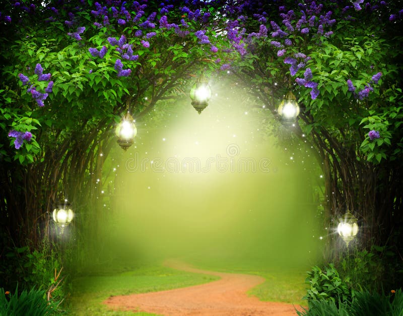 Foret Magique Image Stock Image Du Lumineux Voute Magie