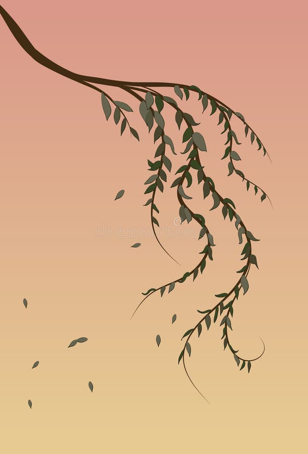 Fond de branchement d'arbre de saule pleurant illustration stock Fond de branchement d'arbre de saule pleurant illustration stock