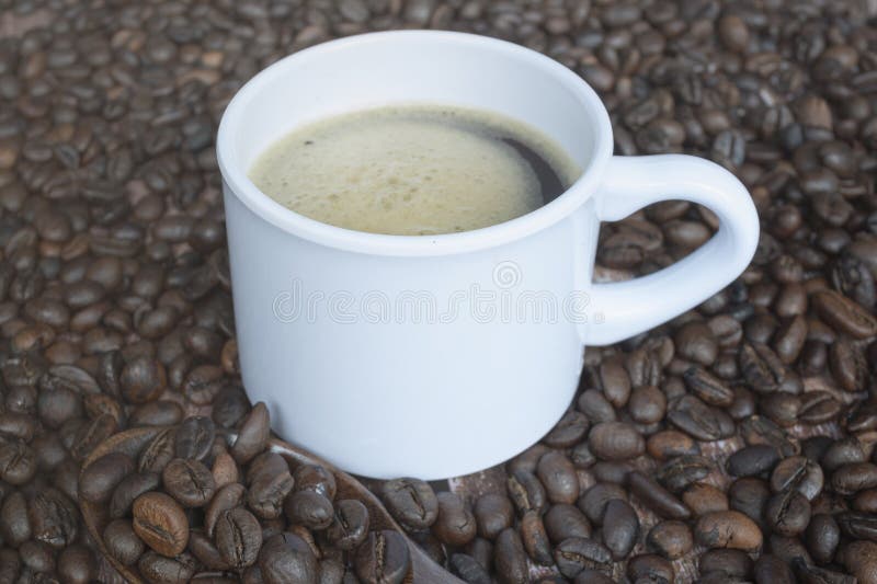 Fresh roasted coffee bean background with a cup of hot espresso. Copy space. Fresh roasted coffee bean background with a cup of hot espresso. Copy space.