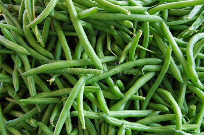 Fond de haricot vert image libre de droits Fond de haricot vert image libre de droits
