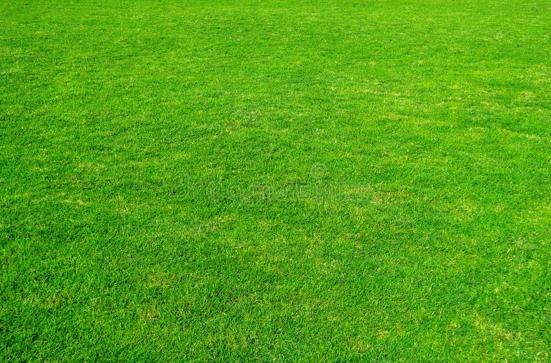 Fond de iarbă verde. model de iarbă verde și textură. gazon verde pentru fundal stock images